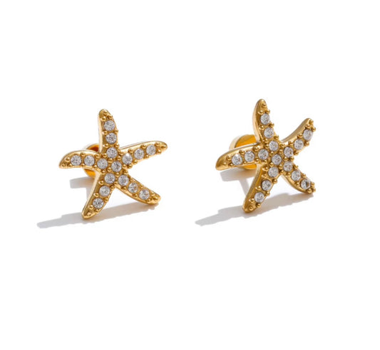 Starfish Studs